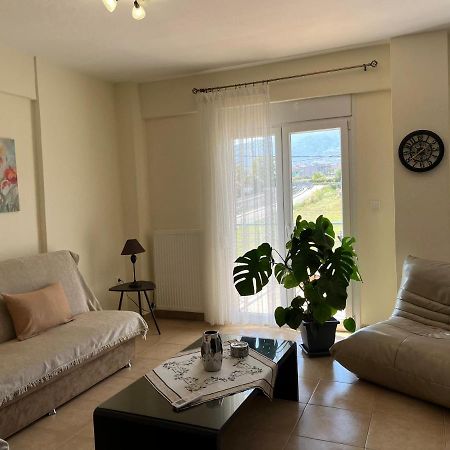 Olympian Two Floor Apartment Leptokarya  Exterior foto